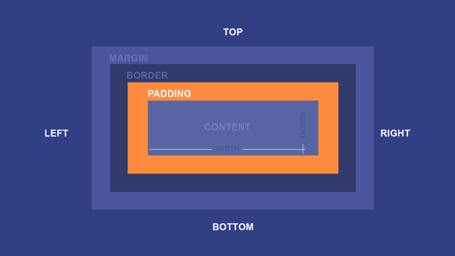 css padding & margin